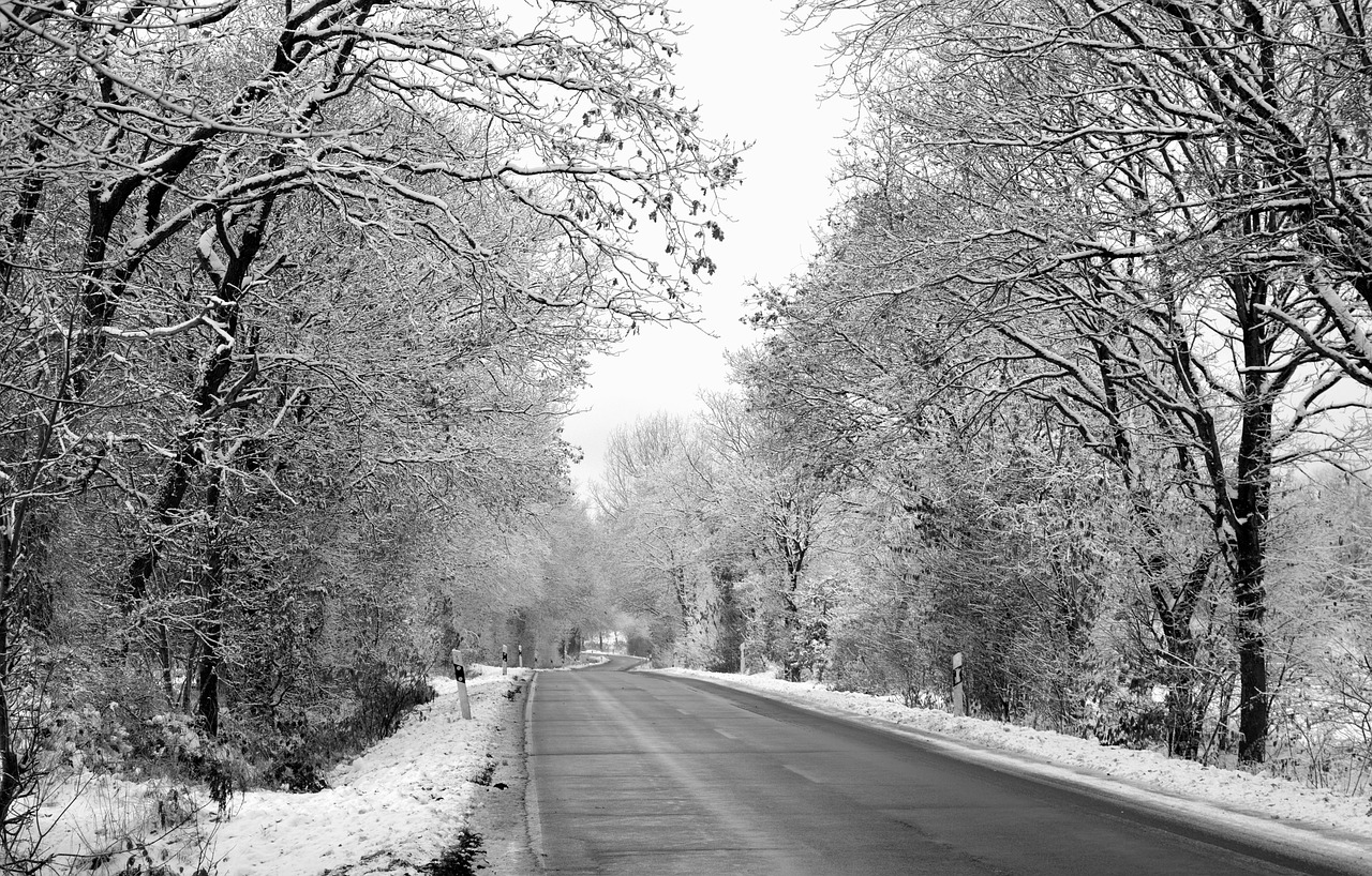 road, snow, winter, winter motif, winter landscape, curves, trees, landscape, hd wallpaper, nature, cold, path, goal, covered in snow, hd background, full hd wallpaper, snow landscape, wintry, winter service, snowy streets, cleared streets, country road